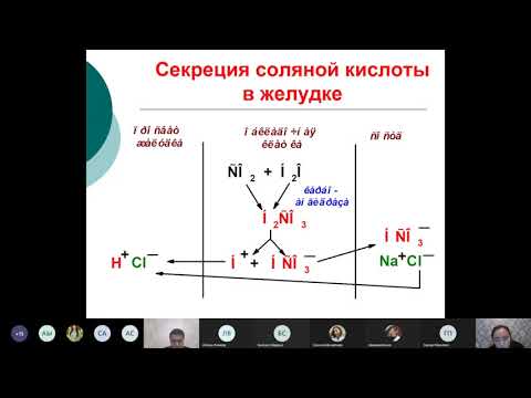 Видео: Белоктар алмасуы