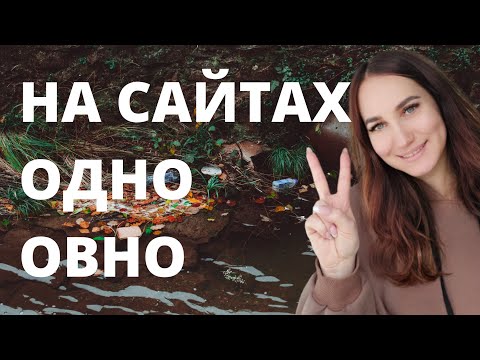Видео: На сайтах одно овно