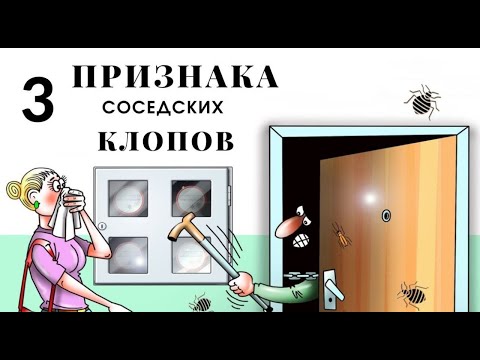 Видео: Как понять, что клопы от соседей (а не принесенные)