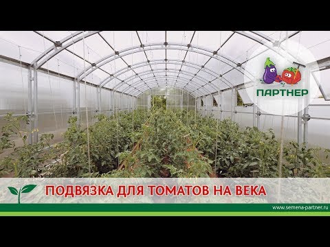 Видео: ПОДВЯЗКА ДЛЯ ТОМАТОВ НА ВЕКА