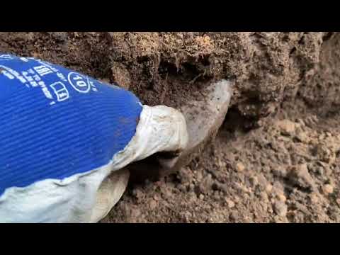 Видео: Металлокоп, находки весом по  2500кг результат в конце видео