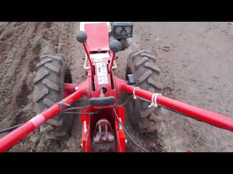 Видео: Май 2025