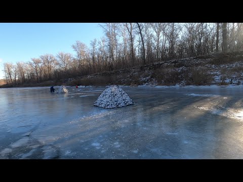 Видео: Началось! Леска трещит! Зимняя рыбалка 2022. Сакмара