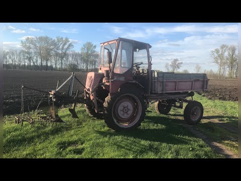 Видео: Т-16 з ПЛУГОМ. Оранка 2021.