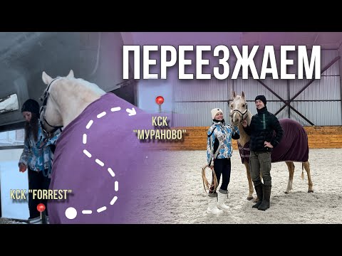 Видео: МЕНЯЕМ КОНЮШНЮ | Переезд | Влог + обзор