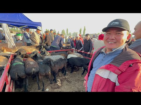 Видео: СНИКЕРС КОЙЛОР КЫЗЫЛ КАШАДА 🤯 #байтв