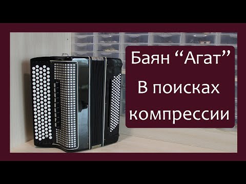 Видео: Трудовые будни / Ремонт Баяна "Агат"