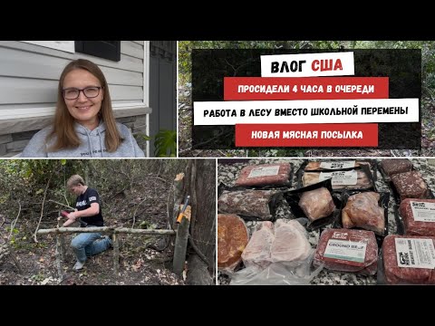 Видео: Просидели 4 Часа в Очереди | Работа в Лесу Вместо Школьной Перемены | Новая Мясная Посылка