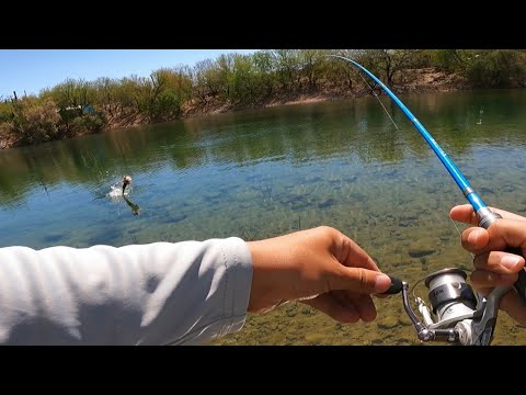Видео: Рыбалка с берега на озере Плезант, штат Аризона (КРИСТАЛЬНО ЧИСТАЯ ВОДА)