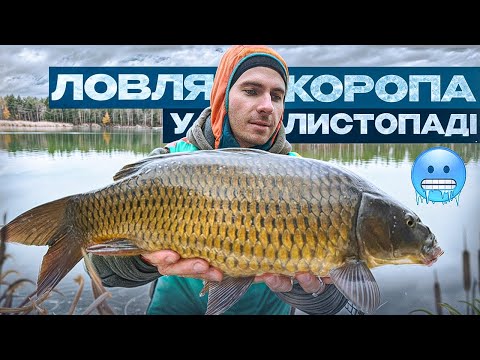 Видео: Наш дебют на IronFish. Озеро Bounty