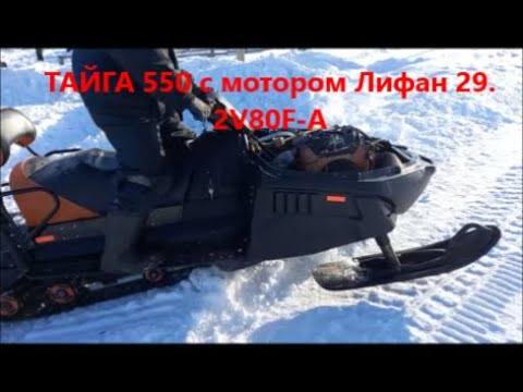Видео: Снегоход Тайга 550 с Мотором Лифан 29. 2 V80F-A