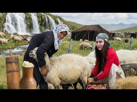 Видео: День в горах: традиционная жизнь и вкусные угощения!