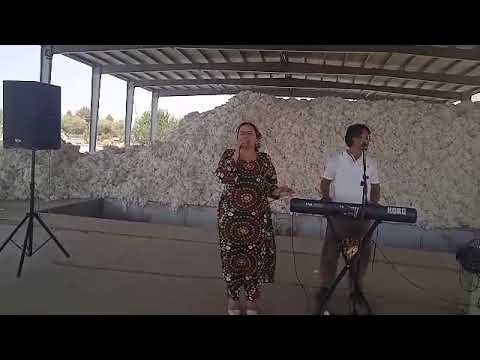 Видео: Мохпари донайева бо овози зинда