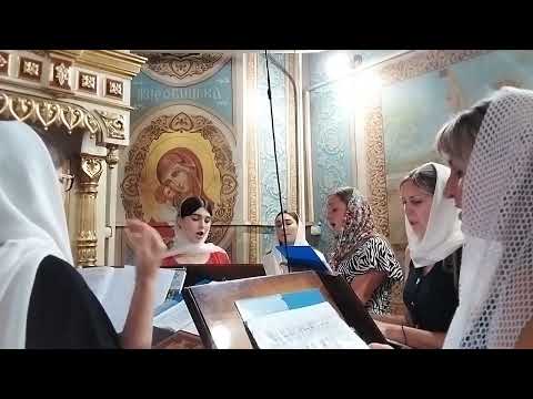 Видео: Мале славослів'я "Слава ввишніх Богу" @Dubnosoborchoir