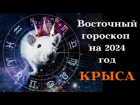 Видео: КРЫСА - ВОСТОЧНЫЙ ГОРОСКОП на 2024 год┃#гороскоп #крыса #год #восточный #2024 #китайский #стихия