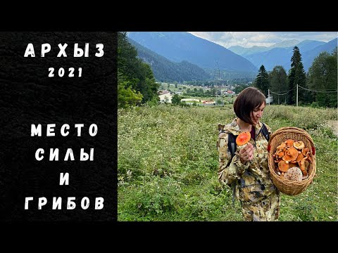 Видео: ГРИБЫ АРХЫЗА