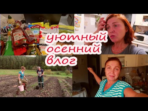 Видео: Уютный осенний влог🍁🍂Мотивация на уборку🧹деревенские будни/покупки