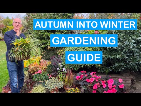 Видео: РУКОВОДСТВО ПО САДОВОДСТВУ НА ОСЕНЬ-ЗИМУ – Цветы, фрукты, горшки, патио, теплицы и многое другое