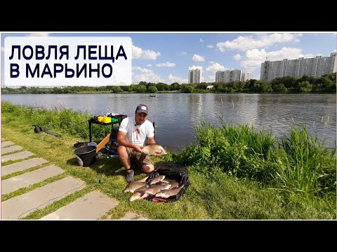 Видео: Ловля леща в Марьино. Городская рыбалка. Как поймать рыбу в +30.