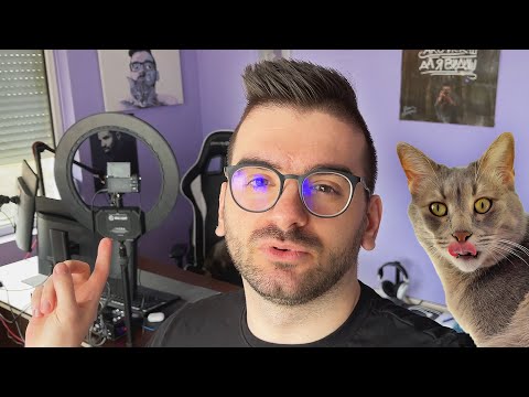 Видео: ROOM TOUR С МИШИ
