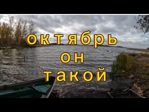 Видео: Рыбалка на лодке, спиннинг с берега, пасмурно, октябрь.