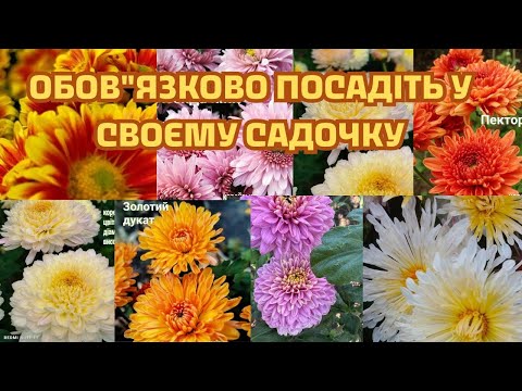 Видео: ЦІ КВІТИ ЗАВЖДИ БУДУТЬ ВАС ТІШИТИ!!!