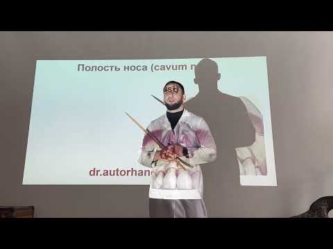 Видео: Дыхательная система, НОС
