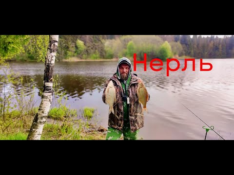 Видео: Рыбалка На НЕРЛИ. Поймали ЛЕЩЕЙ, но мало