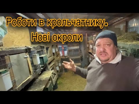 Видео: ПІДГОТОВКА КРОЛЬЧАТНИКА ДО ХОЛОДІВ. НОВІ ОКРОЛИ.