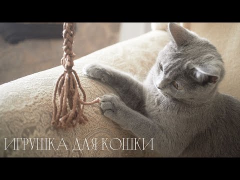 Видео: ✨игрушка для кошки крючком за 15 минут✨