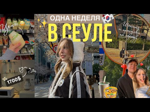 Видео: первые дни В КОРЕЕ🇰🇷🍜: рум тур, ШОК от цен, сакура и как мы живем!