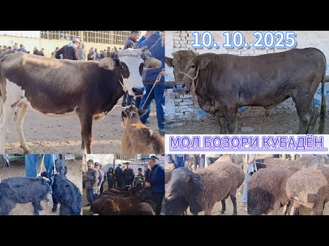 Видео: МОЛ БОЗОРИ КУБАДЁН ЖУМА. БОЗОРИ КУБАДЁН МАРХАМАТ