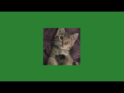 Видео: ёлка - около тебя (speed up)