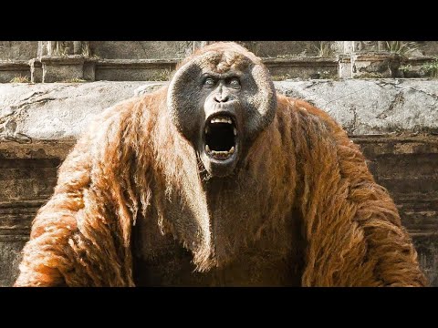 Видео: 5 Чудовищных зверей, обитавших на древней Земле