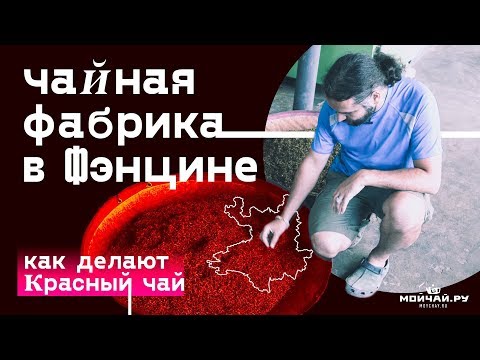 Видео: Фэнцин. Экскурсия по крупному заводу красного и зеленого чая.