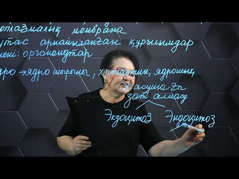 Видео: Жасушаның негізгі компоненттері. 11 сынып. 1 бөлім.
