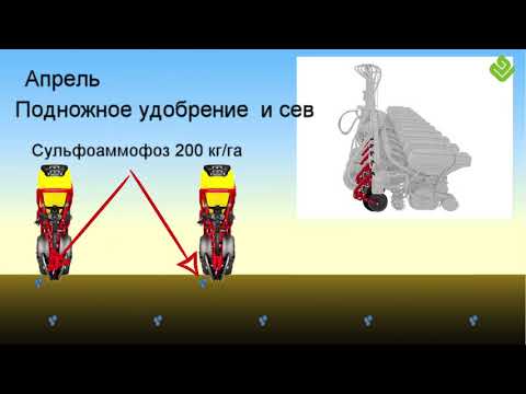 Видео: Весеннее внесение фосфорных удобрений под сахарную свеклу. Клаус Йон.