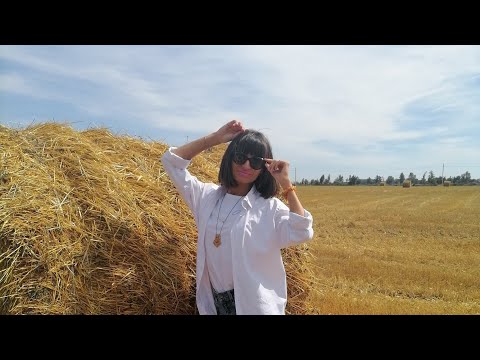 Видео: Обзор села Ягодное в Самарской области | Как живут в сёлах: ожидание и реальность | 2 часть