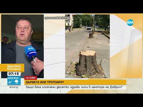 Видео: Защо бяха изсечени десетки липи в центъра на Добрич - Здравей, България
