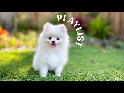 Видео: Плейлист 🎧 Поп-песни для хорошего настроения 🎶 Chill｜R&B｜☕Работа·Учёба·Кафе·Дом｜Remupop