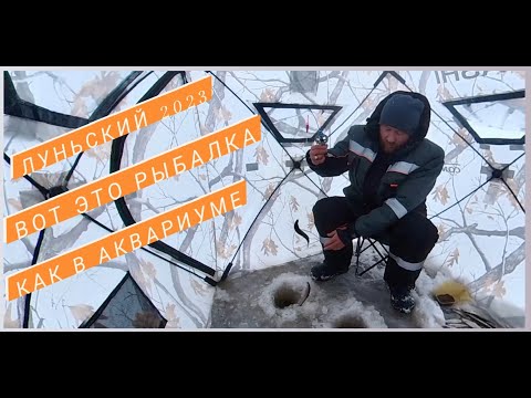 Видео: Как в Аквариуме, вот это рыбалка. (Лунский 2023)