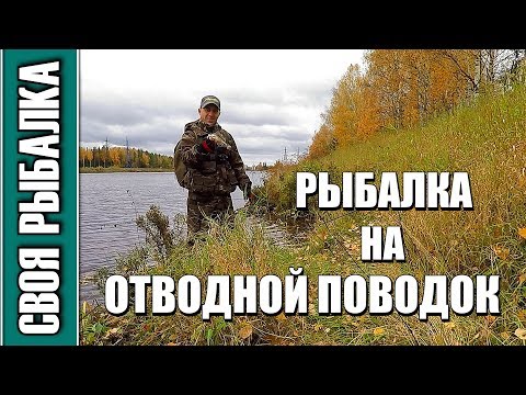 Видео: Отводной поводок в октябре на Канале имени Москвы