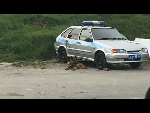 Видео: БЕСПРЕДЕЛ ППС Казбековский район РД (Аркабаш)