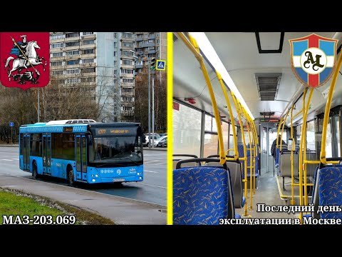 Видео: Последний день эксплуатации автобусов МАЗ-203.069 в Москве. 07.11.2024