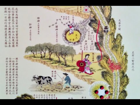 Видео: Теория Нэйгун (вводная лекция для онлайн курса)