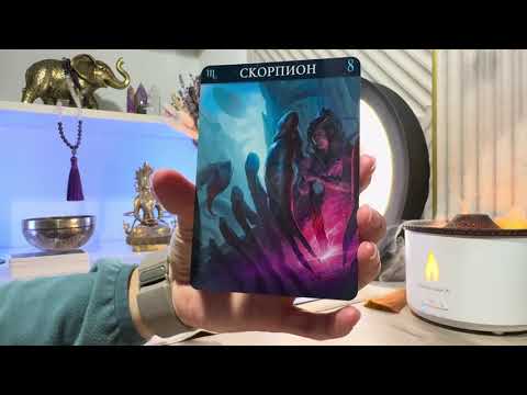 Видео: Новый мужчина в вашей жизни 🤍