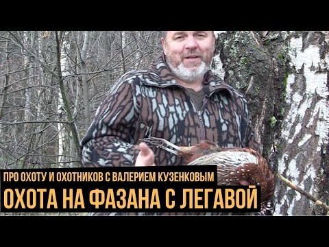Видео: Охота на фазана с легавой / Про охоту и охотников с Валерием Кузенковым. Сезон 1