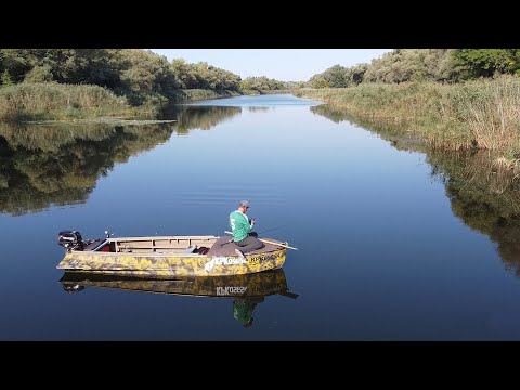 Видео: В поисках ХИЩНИКА. РЕКА ДНЕПР.
