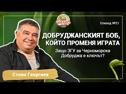 Видео: Чифлика Подкаст Еп.21 - Стоян Георгиев (Управител Агростан ООД)