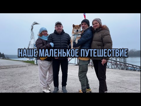 Видео: Едем в Апатин #переездвсербию #жизньзаграницей #serbia #travel